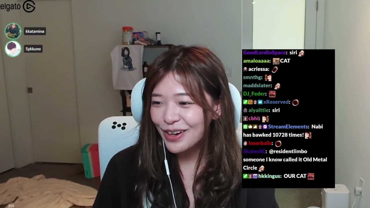 Sykkuno now OWNS the MEDIUM CAT / LIL CAT.