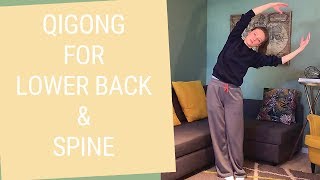 20 minute Qigong for Lower Back & Spine - Qigong Back Pain Relief screenshot 4