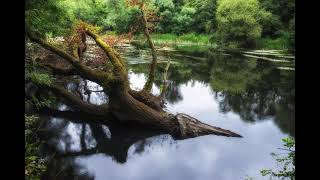 Ruta do Miño  Ínsua de Seivane  Outeiro de Rei. 7 de Julio de 2021