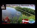 Forellen Angeln in Dänemark mit Ultra Light Tackle in Arrild Tag 2   4K