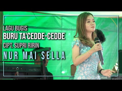 BURU TABBERRE - BERRE | DIANTY OSLAN | Cipt.H.armand Dian Ruzandah