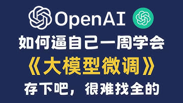 手把手教你从0基础开始微调模型，从原理到实战--实战