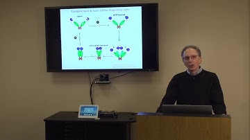 Keynote Presentation: Targeting Molecular Chaperones in Cancer, Lessons Learned from