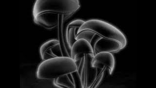 Maria Sabina 'soso na na'