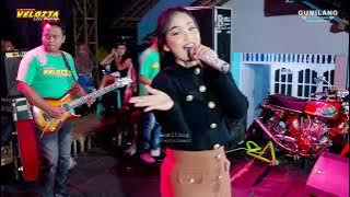 FULL ALBUM VELOZTA MUSIC - WEDDING ZAKI & FITA - BLINGOH DONOROJO JEPARA