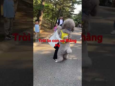 To con thế thôi tâm hồn em pé nhỏ