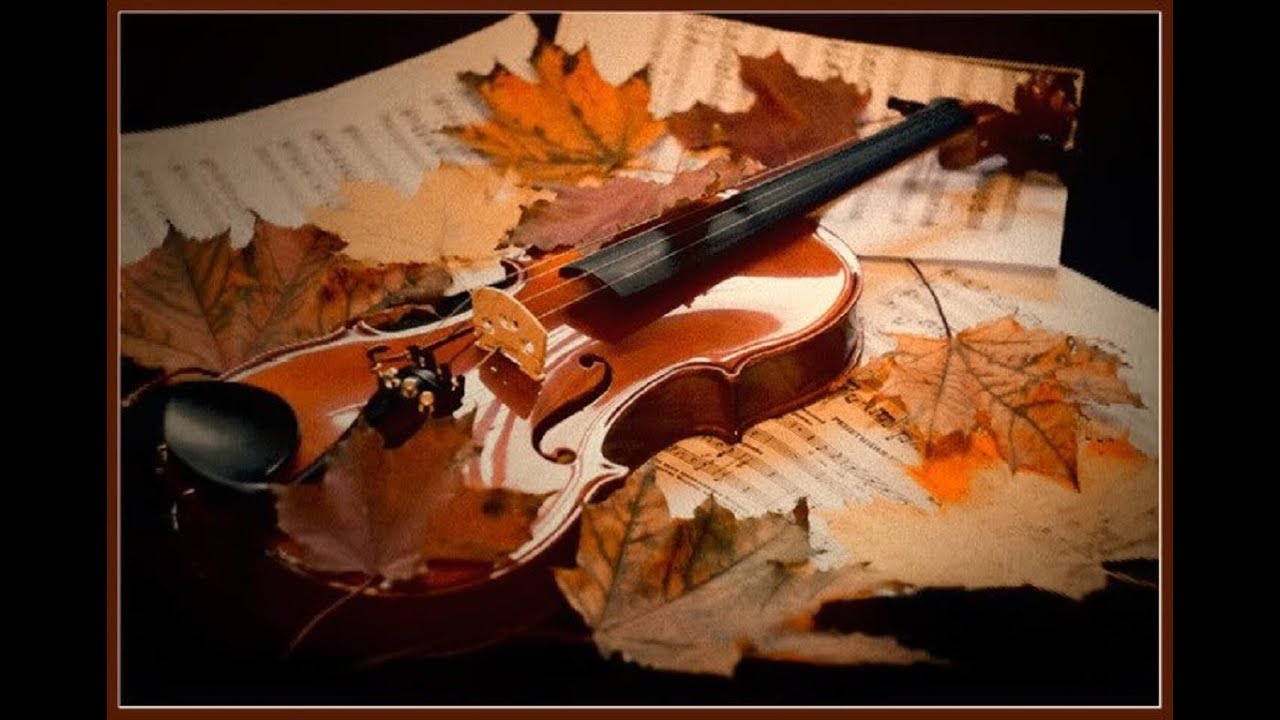 Осенние скрипки. Скрипка осень. Скрипка осенние листья. Скрипка из клена. Музыкальные инструменты из клена.