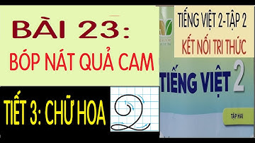 CHỮ HOA Q (KIỂU 2) |TIẾNG VIỆT 2| BÀI 23: BÓP NÁT QUẢ CAM (TIẾT 3) |KẾT NỐI TRI THỨC VỚI CUỘC SỐNG