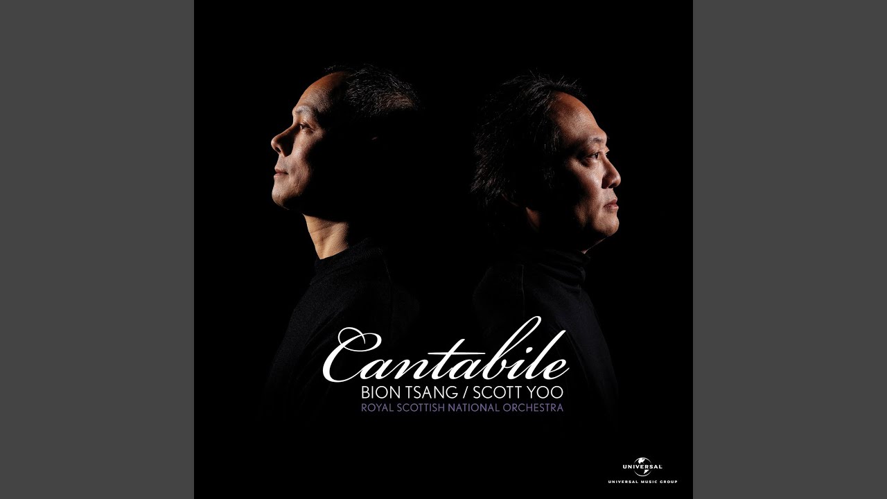 Watch Tchaikovsky: Andante cantabile in B Major, TH 63 on YouTube Watch Tchaikovsky: Andante cantabile in B Major, TH 63 on YouTube