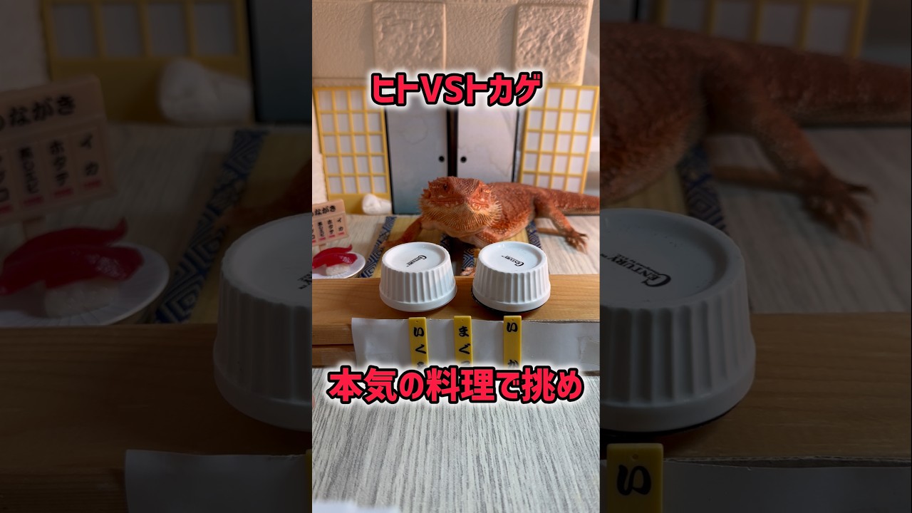 【ヒトVSトカゲ】本気の料理で挑め