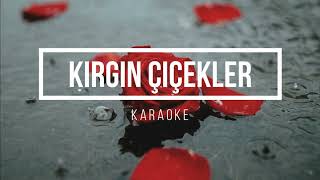 KARAOKE  ❚  Kırgın Çiçekler - Tuna Velibaşoğlu Resimi