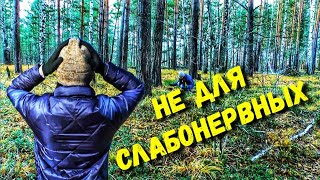 Находки в лесу. НАДО ИМ РУКИ ОБОРВАТЬ ЗА ТО, ЧТО ОНИ С НЕЙ СДЕЛАЛИ. КАК ОНИ МОГЛИ ТАКОЕ НАТВОРИТЬ?