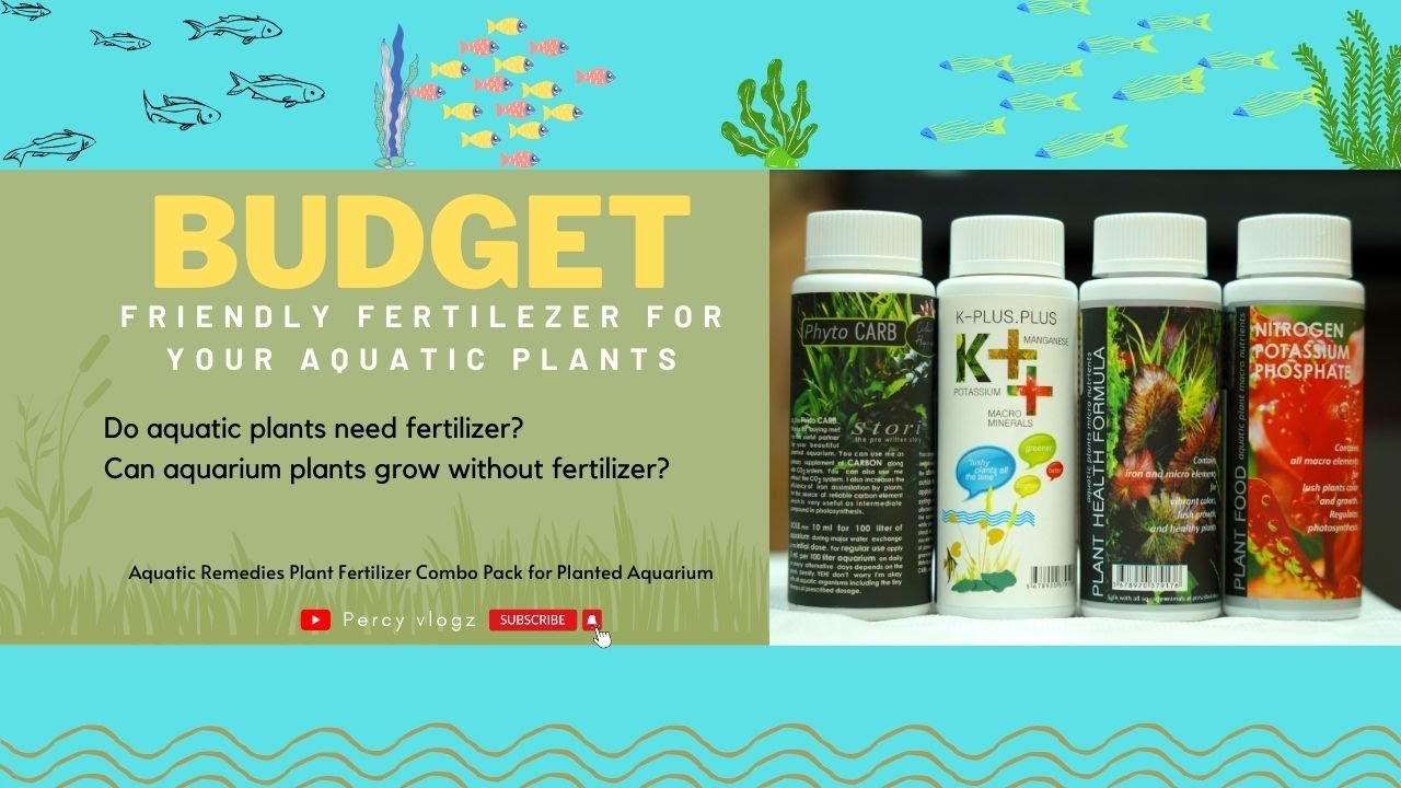 Budget friendly fertilizer for aquatic plants Do Aquatic Plants need