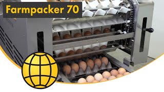 Packing of eggs - Farmpacker 70  - 25.000 eggs/hour (70 cases/hour)