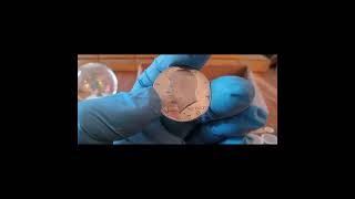 Epic Silver Half Dollar Box Hunt 9-28-23 🤑📦💰🗽🇺🇲
