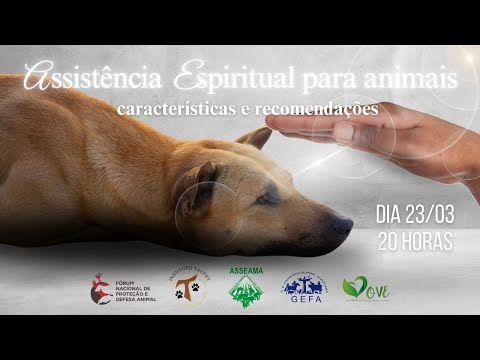 Assista: LIVE com o MOVE sobre Assistência Espiritual para Animais (23/03/2024)