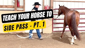 D/C  TEACH YOUR HORSE TO SIDE PASS  |  Part  1