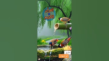القرآن الكريم #طارق_ابو_جيهان #تيك_توك #اكسبلور #الرحمن #دويتو #حالات_واتس #ترند #duet #صباح_الخير