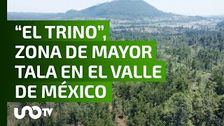Les mostramos la zona en el Valle de México donde talamontes cometen su crimen.
