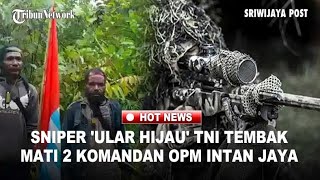 Baku Tembak Mencekam TNI vS OPM di Sugapa! Sniper Elit Tembak 2 Komandan OPM Intan Jaya
