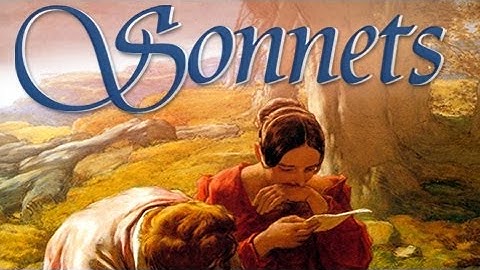 Sonnets Video 1 Introduction