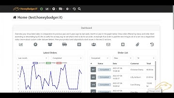 HoneyBadgerIT WP Plugin Setup