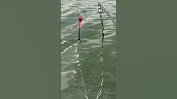 Dùng chiếc búa làm lưỡi câu cá