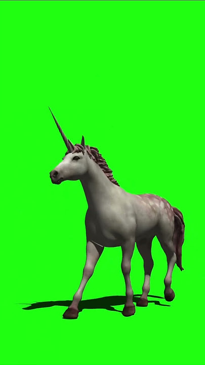 Green Screen Unicorn video effect overlay #chromakey #greenscreeneffects #unicorn