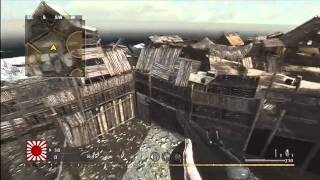COD WaW Mods UFO, God Mode, Give All, Online (Tutorial)