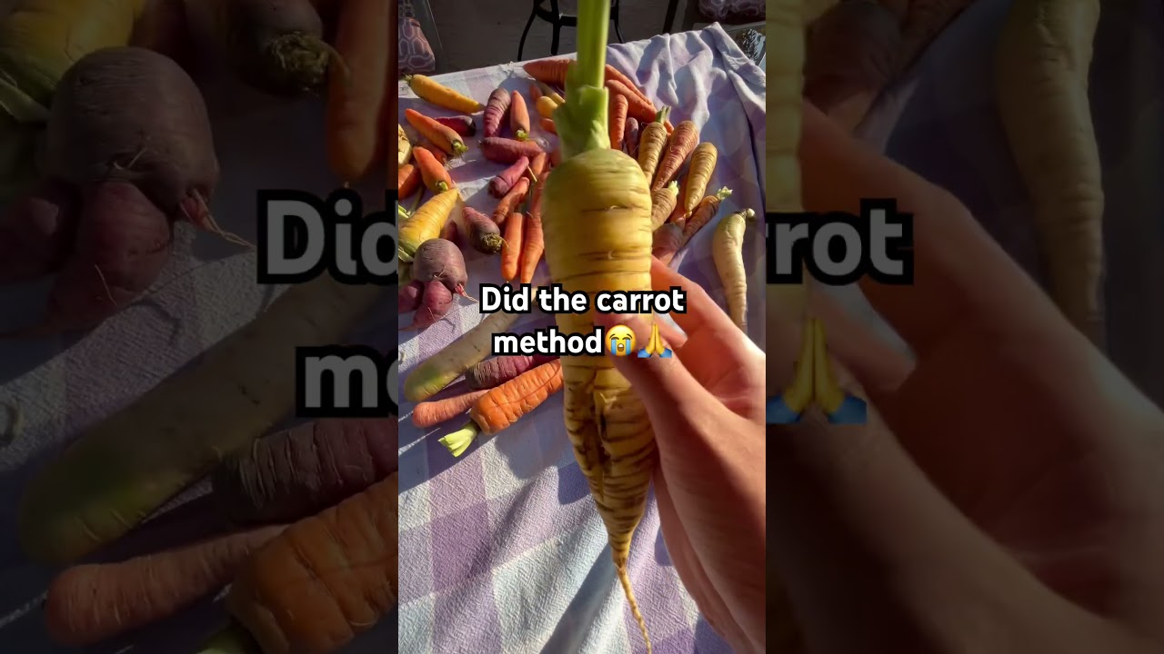Carrot method is OP!! 