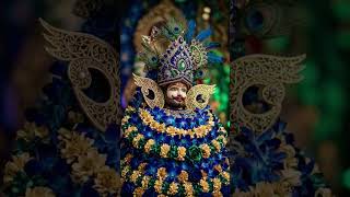 #Khatu🕉Naresh🪔Ki🪴Jay❤#rings Ke🌺Raja🌻Ki🌹Jay#youtubeshorts #lifeisbutadream⛳#motivation #khatustatus#🙏