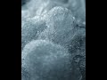 Hot water can freeze faster than cold water #shorts