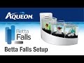 Aqueon  betta falls  kit daquarium de bureau betta installation