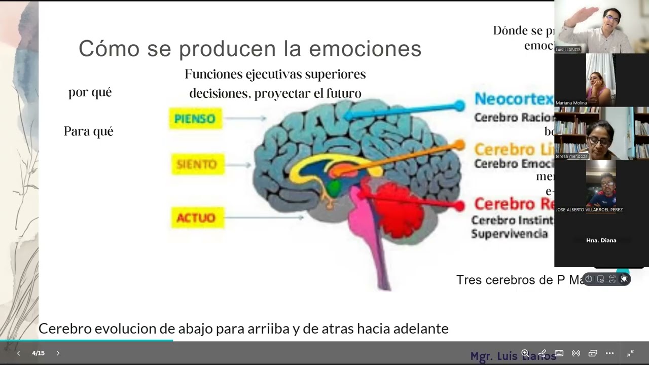 Neurobiologia de las emociones
