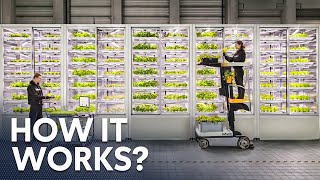 Indoor Farming Is The FUTURE.. But How Does It Work?