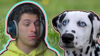 Family Time | Dog Simulator 3D!! screenshot 5