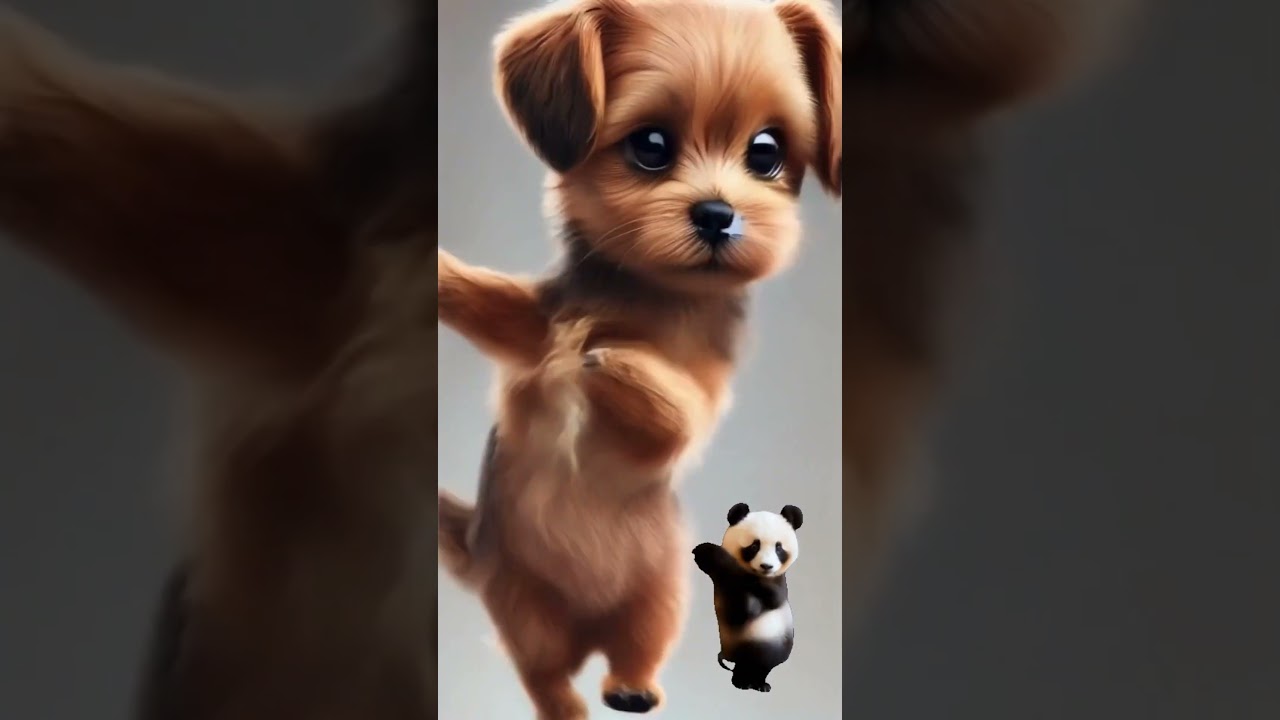 音源間違えました　犬　カンカンカン　内田