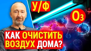 Как очистить воздух дома?