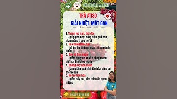 Trà Atiso – Giải Nhiệt, Mát Gan, Thanh Lọc Cơ Thể | Đức Phương Medical