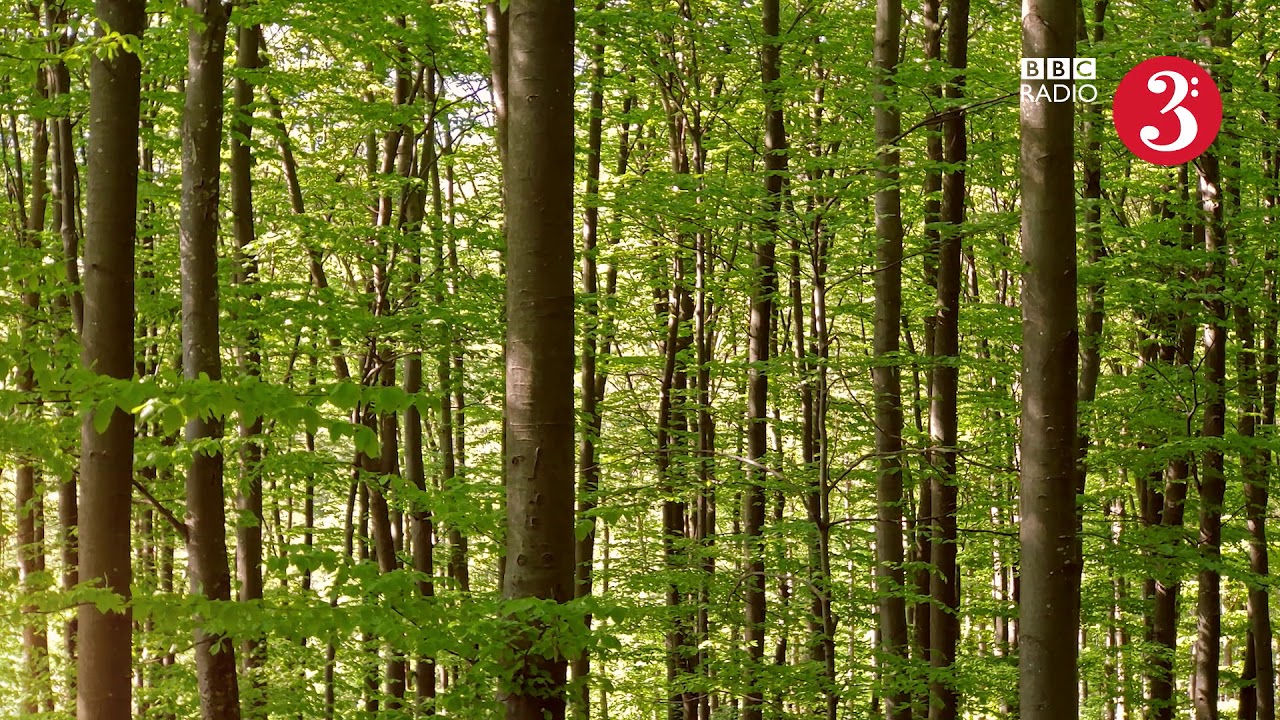 Biodukt at BBC Radio 3
