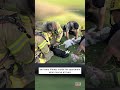 First Responders Save Cats' Lives With CPR #shorts