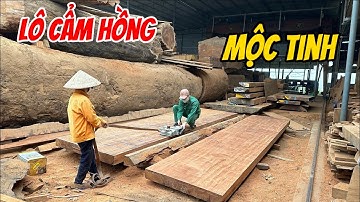 MỘC TINH | Lô 2 Tấm Gỗ Cẩm Hồng Nguyên Khối Chun Sóng Cực Đẹp |Gỗ Việt Bắc