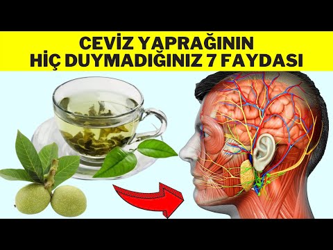 CEVİZ YAPRAĞININ ŞAŞIRTICI 7 FAYDASI - Ceviz Yaprağı Çayı Nasıl Yapılır - Ceviz Yaprağının Faydaları