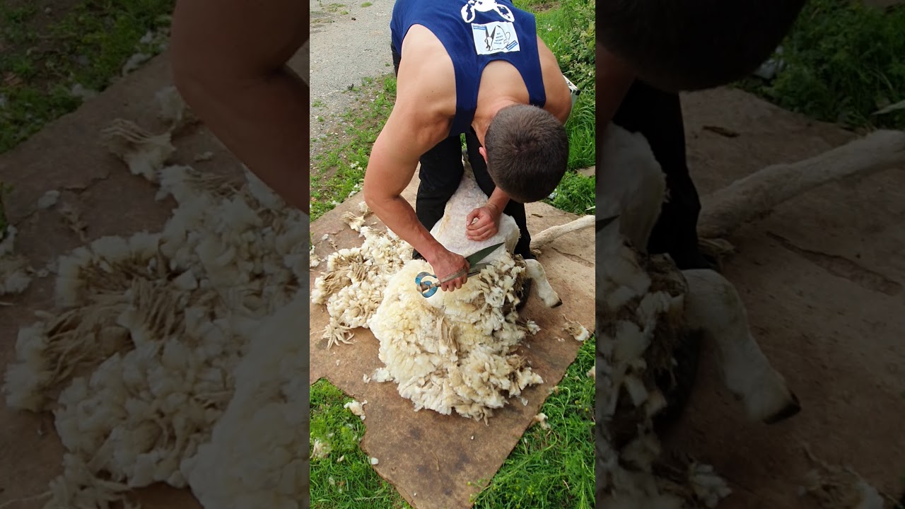 Andrew Mudge open ( Second Place)