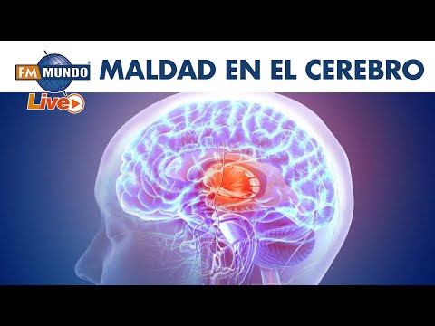 Así funciona la maldad en el cerebro - El Mundo de Cabeza