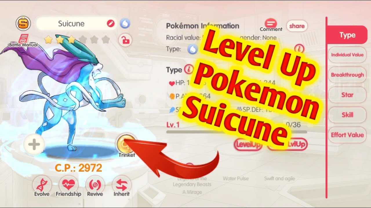 Level Up Pokemon Suicune Pocket YouTube