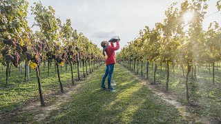 Thumbnail image for HACIENDO VINO EN UN PUEBLO DE RUMANÍA