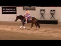 The run for a million andrea fappanis bridleless freestyle run with custom spook