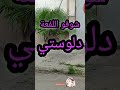 لوستي لفيعة هه لوستي لفيعة هه