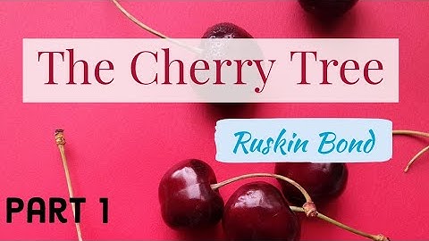 The Cherry Tree | Part 1 |line by line explanation| class 6 | ICSE | studyCafe